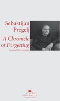 A Chronicle of Forgetting