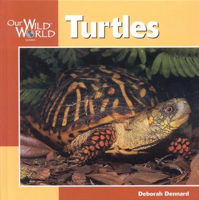 Turtles