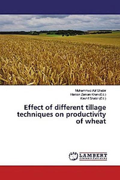 Effect of Different Tillage Techniques on Productivity of Wheat