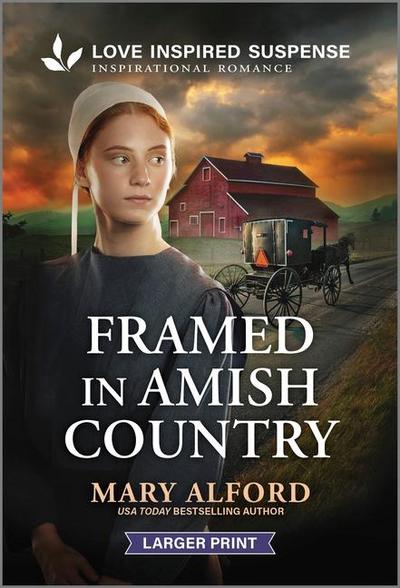 Framed in Amish Country