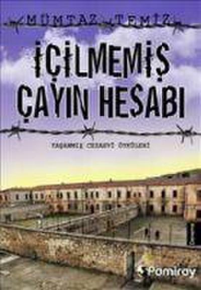 Icilmemis Cayin Hesabi