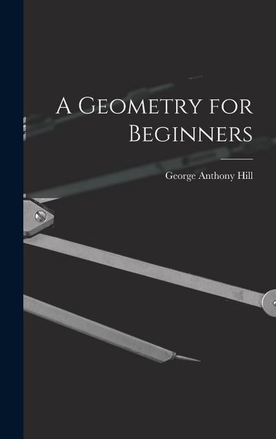 A Geometry for Beginners