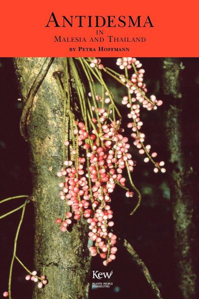 Antidesma in Malesia and Thailand