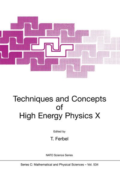 Techniques and Concepts of High Energy Physics X
