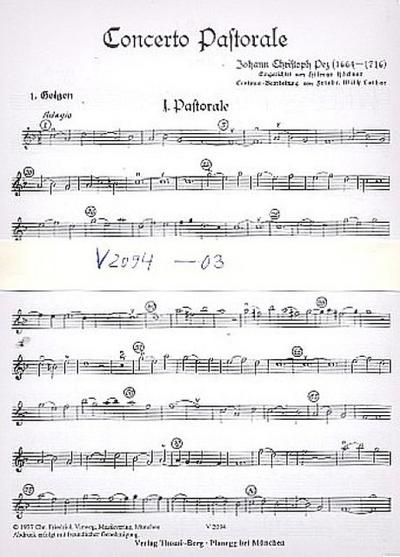 Concerto pastoralefür Blockflöte (Flöten) und Streicher