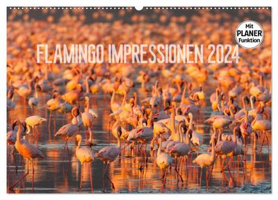 Flamingo Impressionen 2024 (Wandkalender 2024 DIN A2 quer), CALVENDO Monatskalender