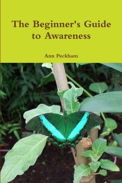 The Beginner’s Guide to Awareness