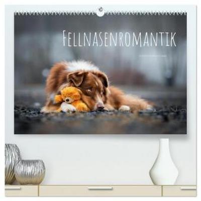 Fellnasenromantik (hochwertiger Premium Wandkalender 2026 DIN A2 quer), Kunstdruck in Hochglanz