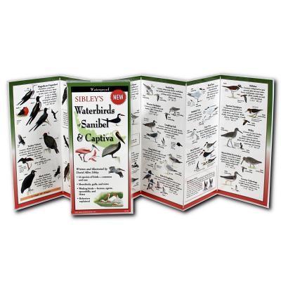 Sibley, D: Sibley’s Waterbirds of Sanibel & Captiva