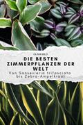 Die besten Zimmerpflanzen der Welt