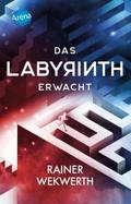 Das Labyrinth erwacht