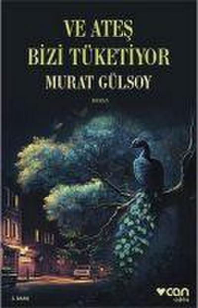 Ve Ates Bizi Tüketiyor