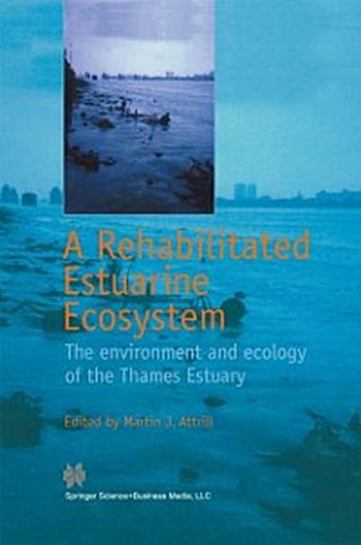 Rehabilitated Estuarine Ecosystem