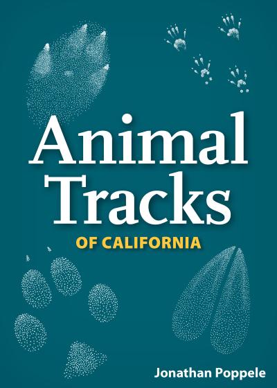 Animal Tracks of California Playing Cards