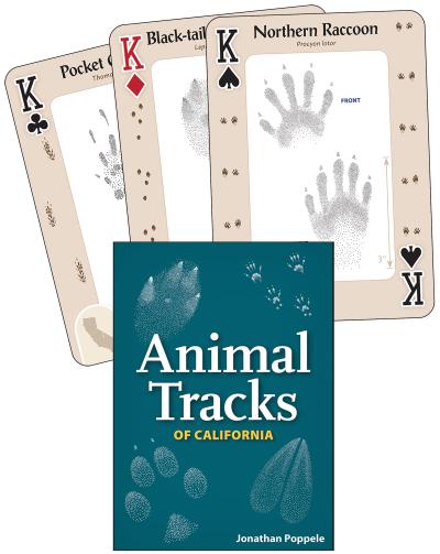 Animal Tracks of California Playing Cards