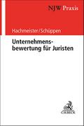 Unternehmensbewertung für Juristen