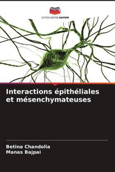 Interactions épithéliales et mésenchymateuses