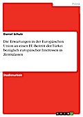 Die Erwartungen in der Europäischen Union an einen EU-Beitritt der Türkei bezüglich europäischer Interessen in Zentralasien