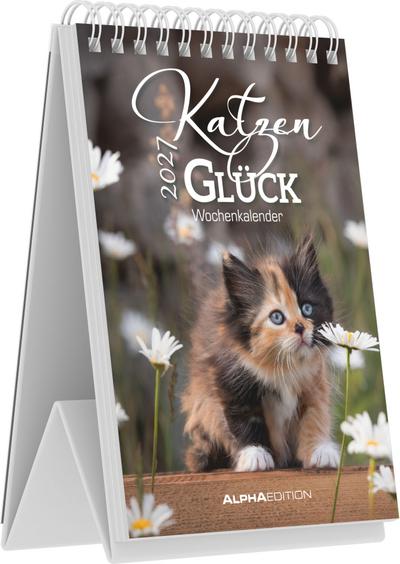 Katzenglück 2027