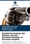 Rechtliche Analyse der Risiken, die der Gerichtsvo