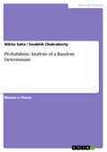 Probabilistic Analysis of a Random Determinant