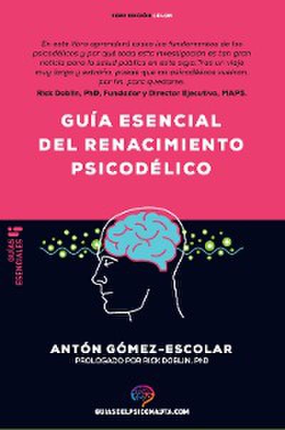 Guía esencial de renacimiento psicodélico