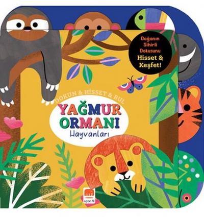 Yagmur Ormani Hayvanlari