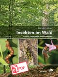 Insekten im Wald