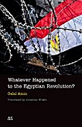 Whatever Happened to the Egyptian Revolution?