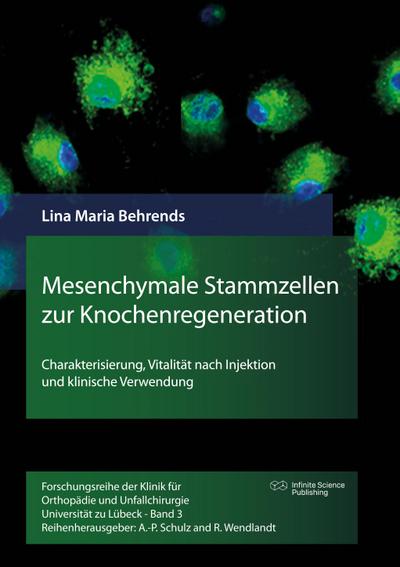 Mesenchymale Stammzellen zur Knochenregeneration
