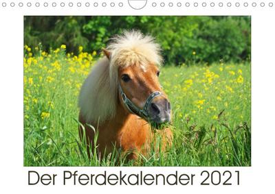 Der Pferdekalender (Wandkalender 2021 DIN A4 quer)