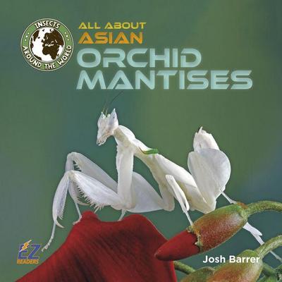 All about Asian Orchid Mantises