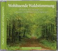 Wohltuende Waldstimmung