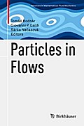 Particles in Flows
