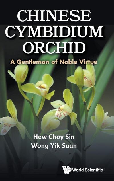 CHINESE CYMBIDIUM ORCHID