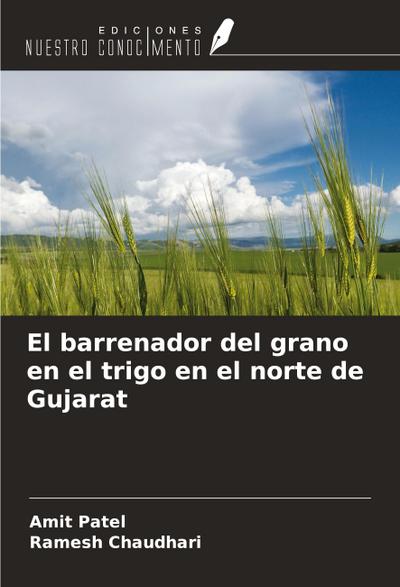 El barrenador del grano en el trigo en el norte de Gujarat