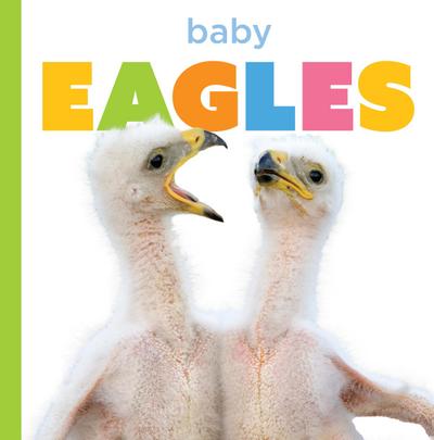 Baby Eagles
