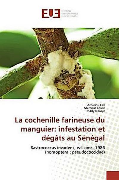 La cochenille farineuse du manguier: infestation et dégâts au Sénégal