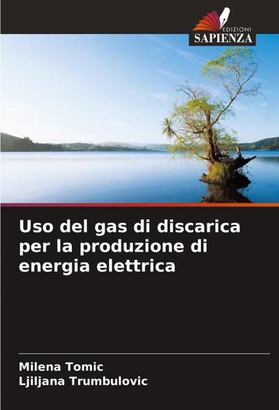 Uso del gas di discarica per la produzione di energia elettrica