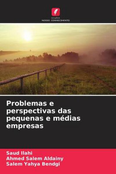 Problemas e perspectivas das pequenas e médias empresas