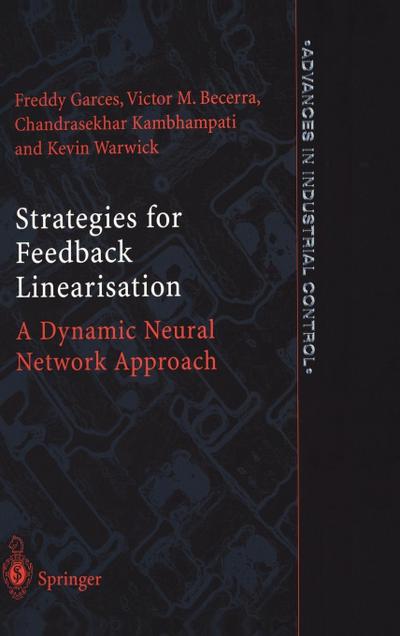 Strategies for Feedback Linearisation