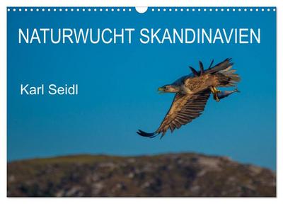 Naturwucht Skandinavien (Wandkalender 2024 DIN A3 quer), CALVENDO Monatskalender