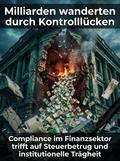 Milliarden wanderten durch Kontrolllücken