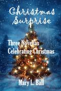 Christmas Surprise