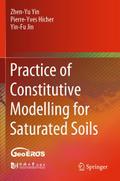 Practice of Constitutive Modelling for Saturated S