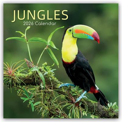 Jungles - Dschungel 2026 - 16-Monatskalender