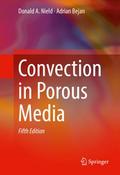 Convection in Porous Media