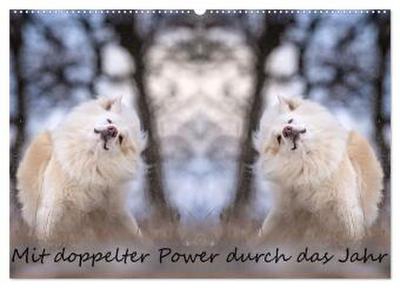 Mit doppelter Power durch das Jahr (Wandkalender 2026 DIN A2 quer), CALVENDO Monatskalender