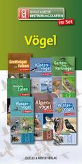 Bestimmungskarten-Set Vögel