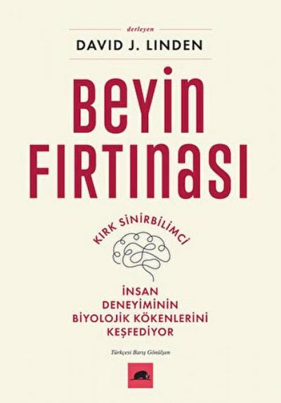 Beyin Firtinasi